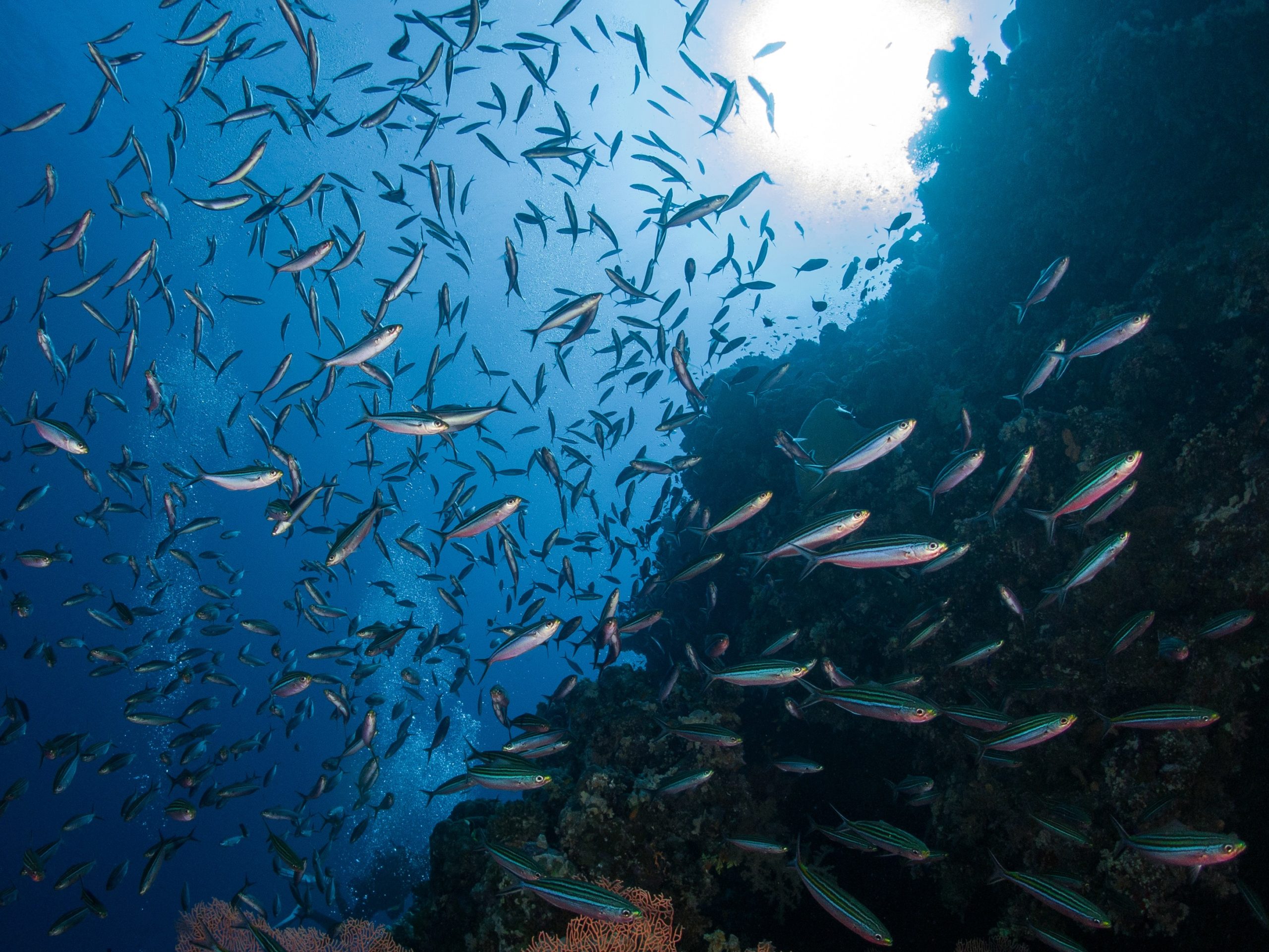 Ein sonniger Silvestertag am Panorama Reef