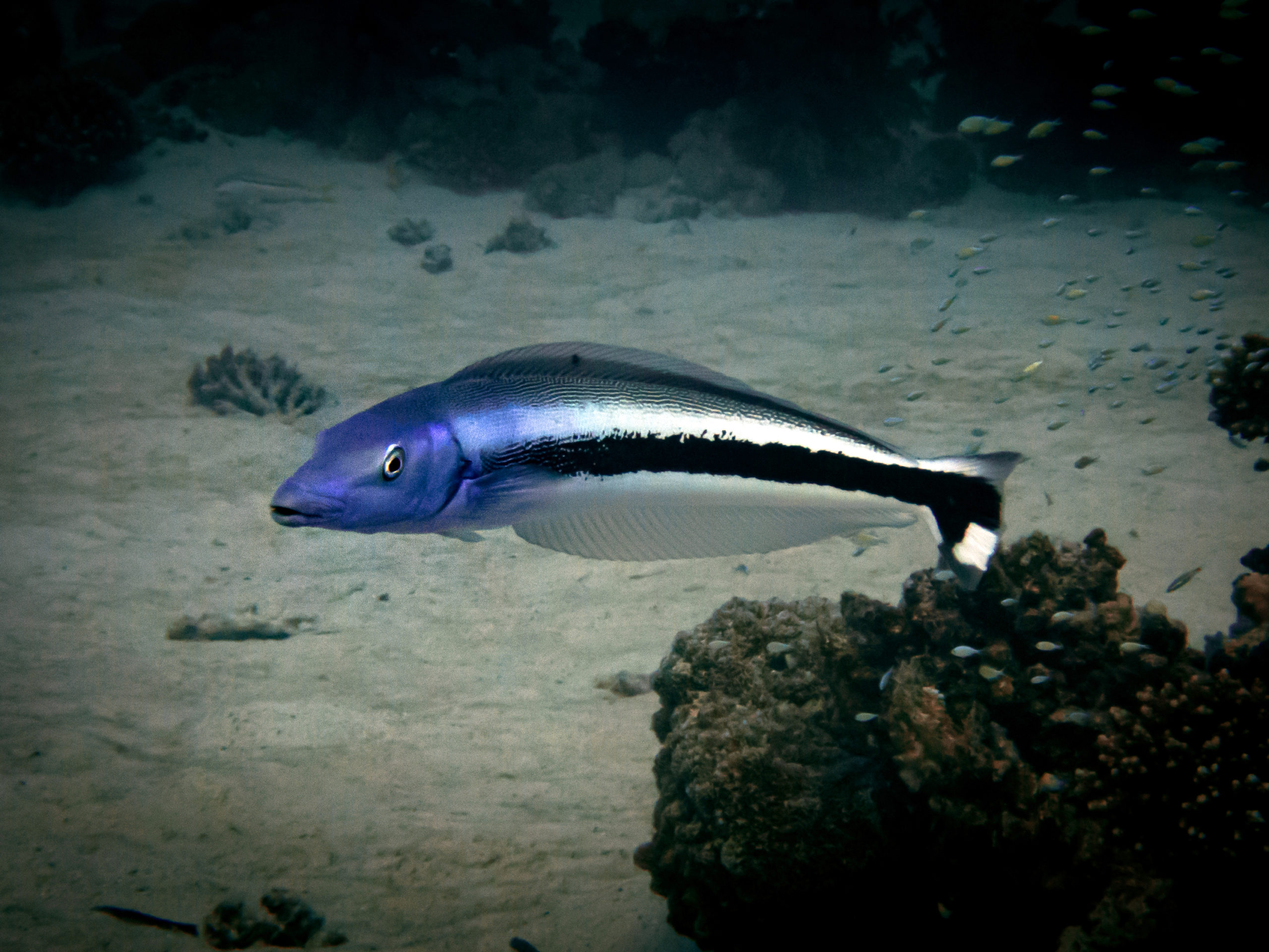 Zu Besuch im Unterwasser Kosmetikstudio