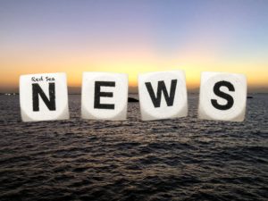 Red Sea News