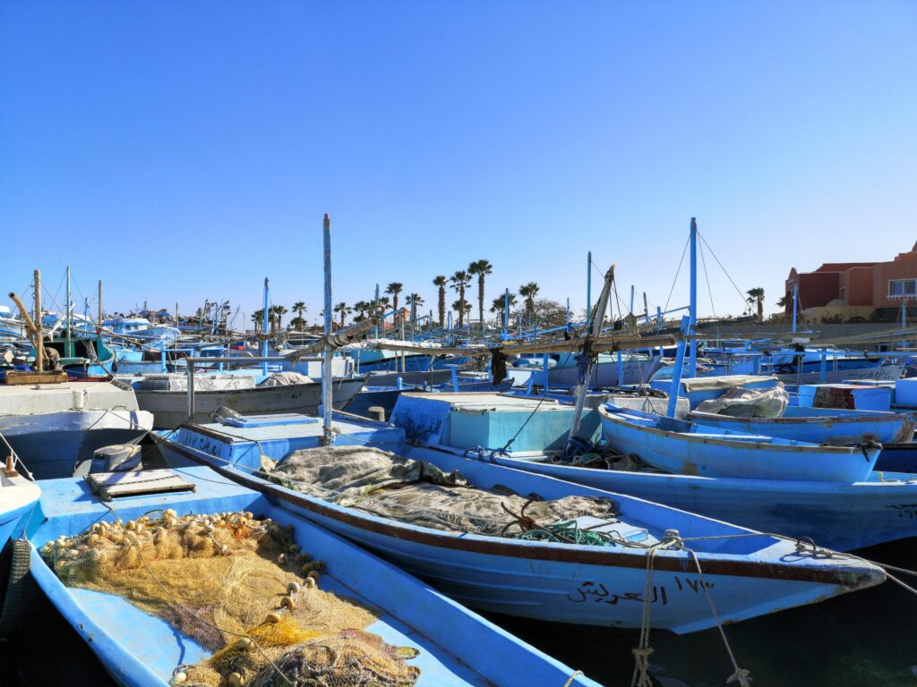 Immer Samstags aus Hurghada: Unser Rückblick