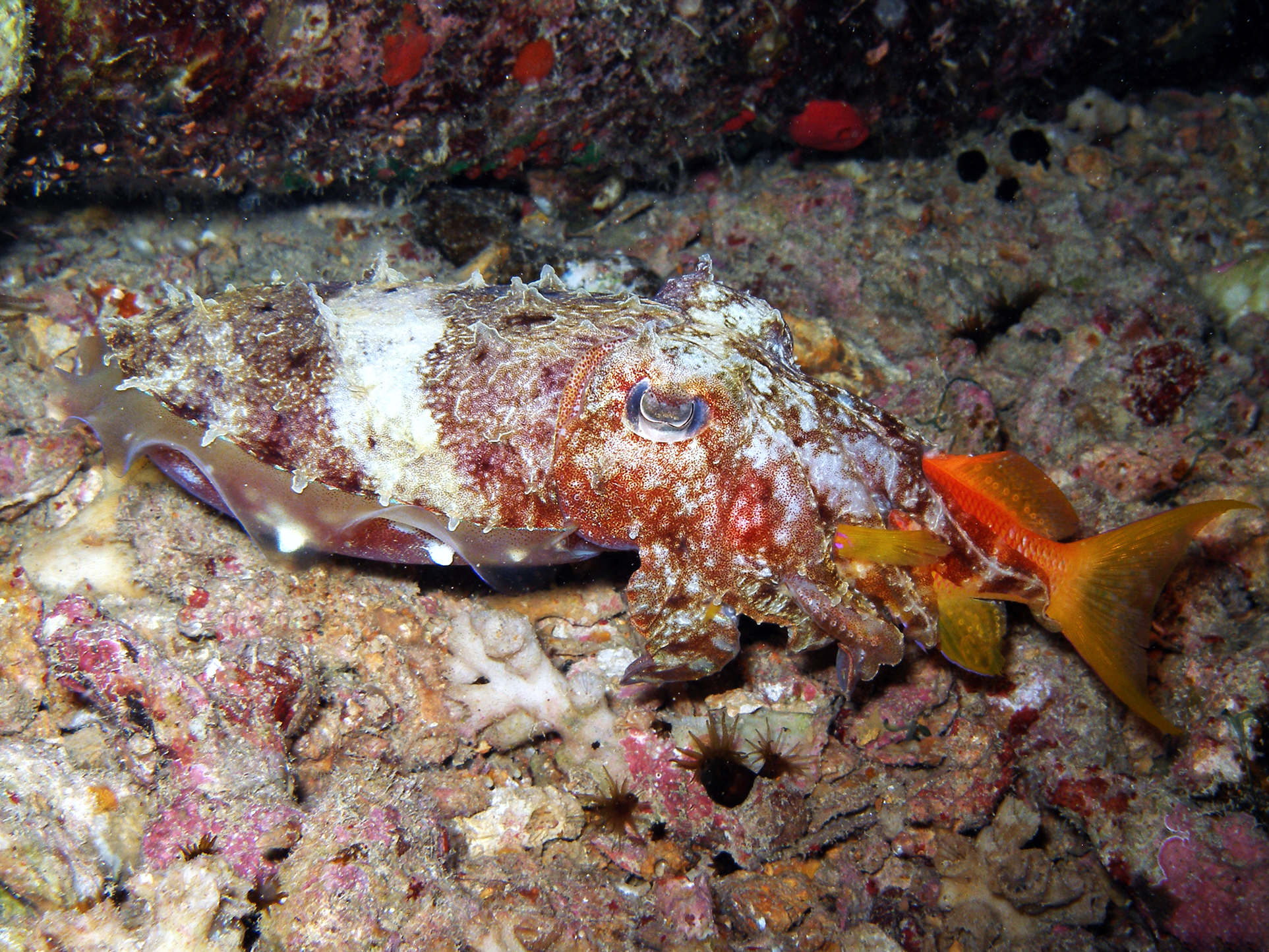 Zum Wochenstart ans Aquarium