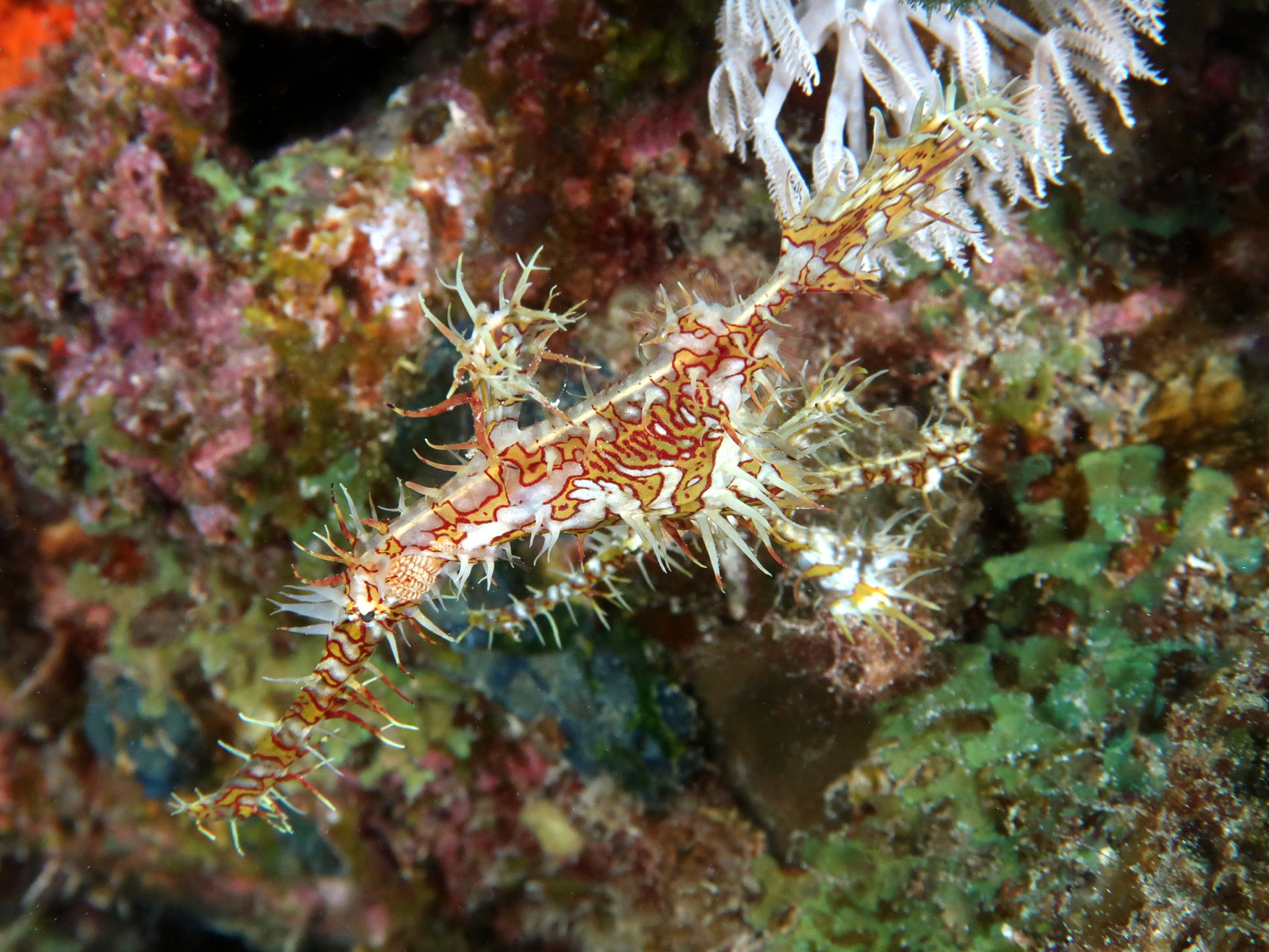 Große Freude über viele schöne Fische