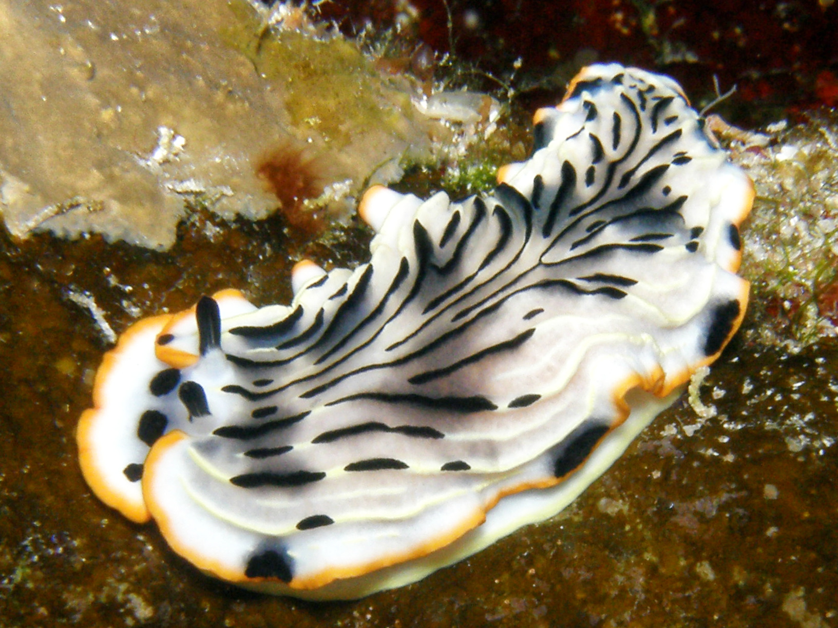 Schöner Wochenbeginn am Roten Meer