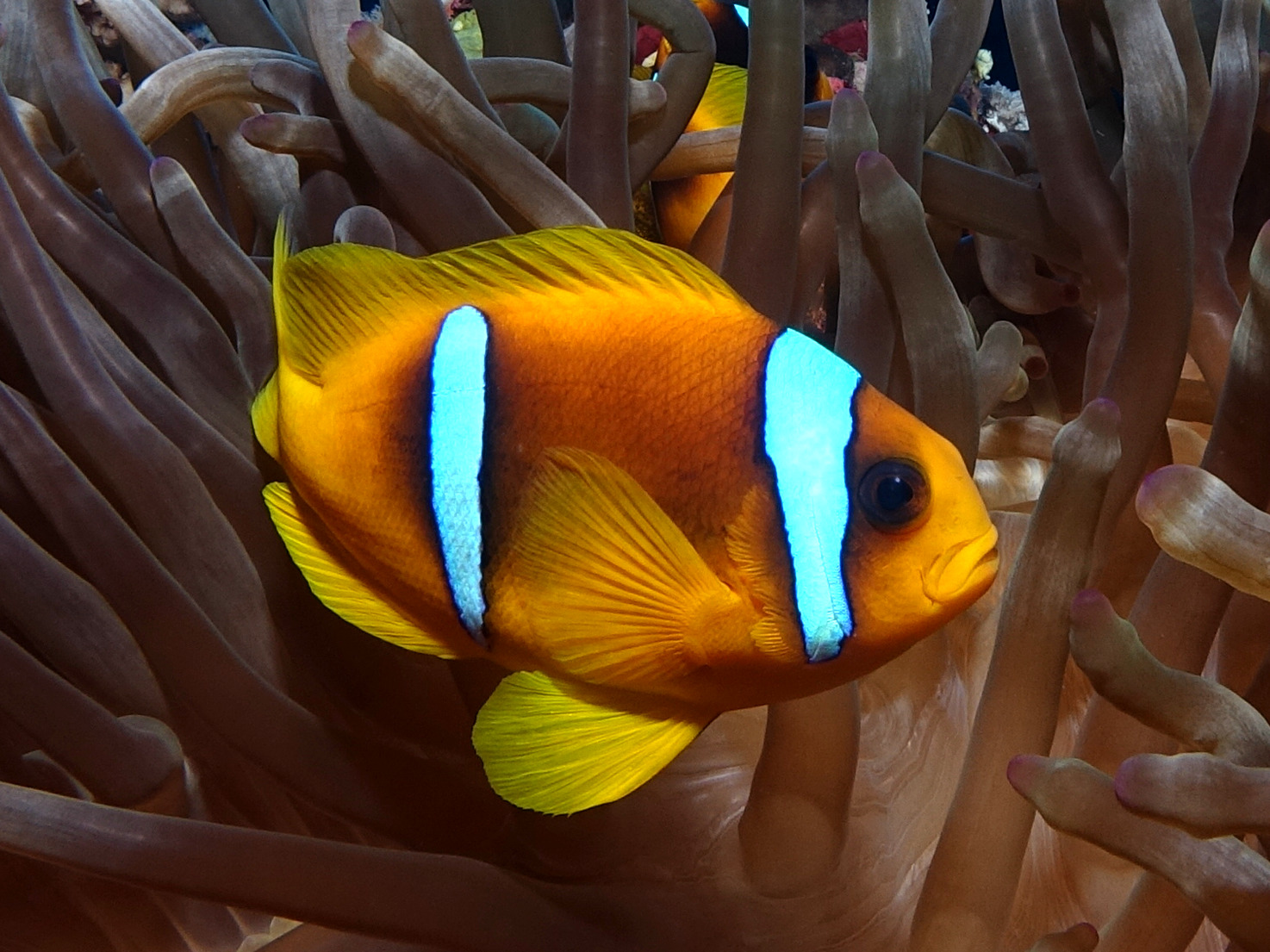 Gemeinsame Erlebnisse beim Aquarium