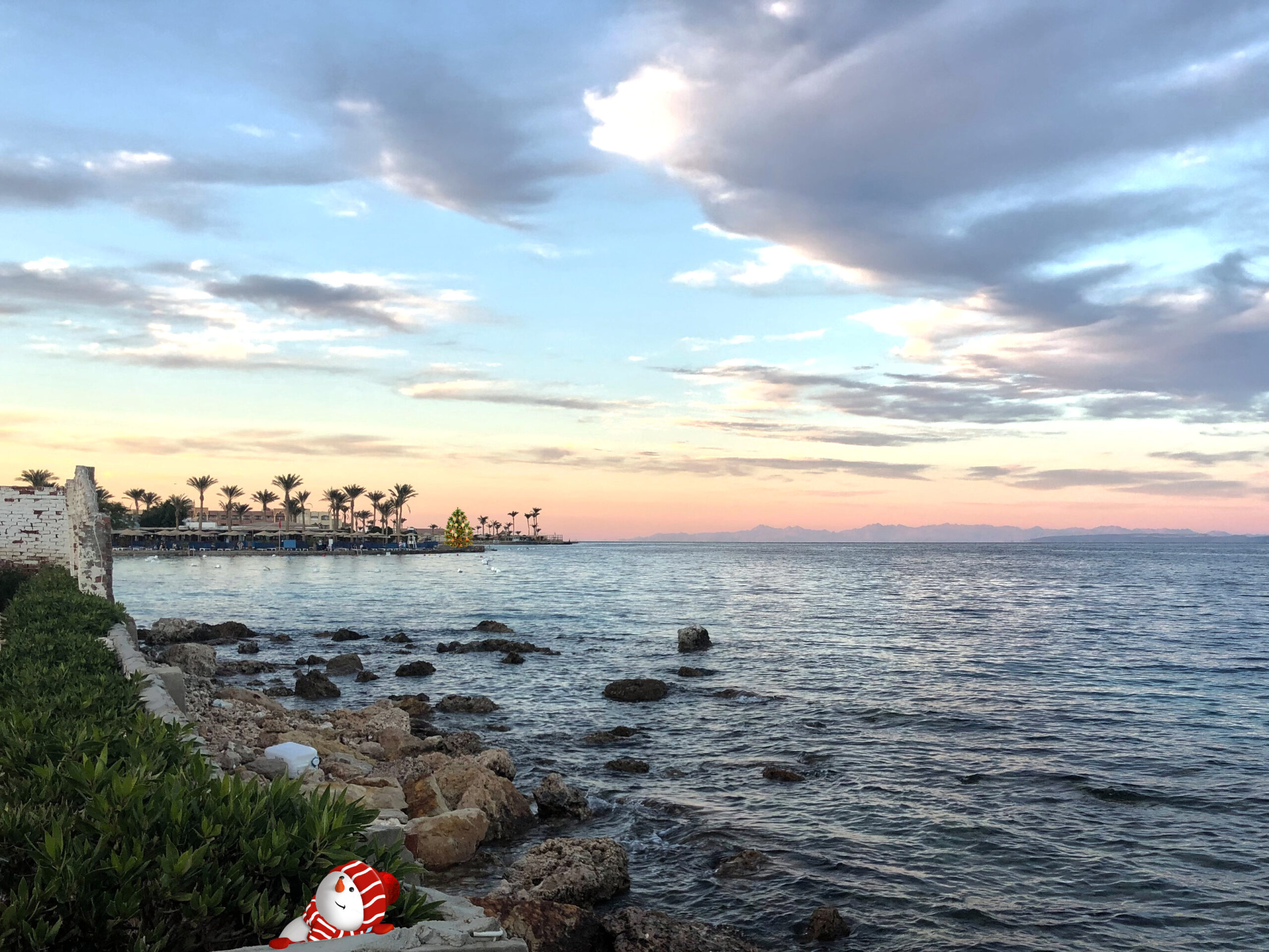 Es weihnachtet am Roten Meer