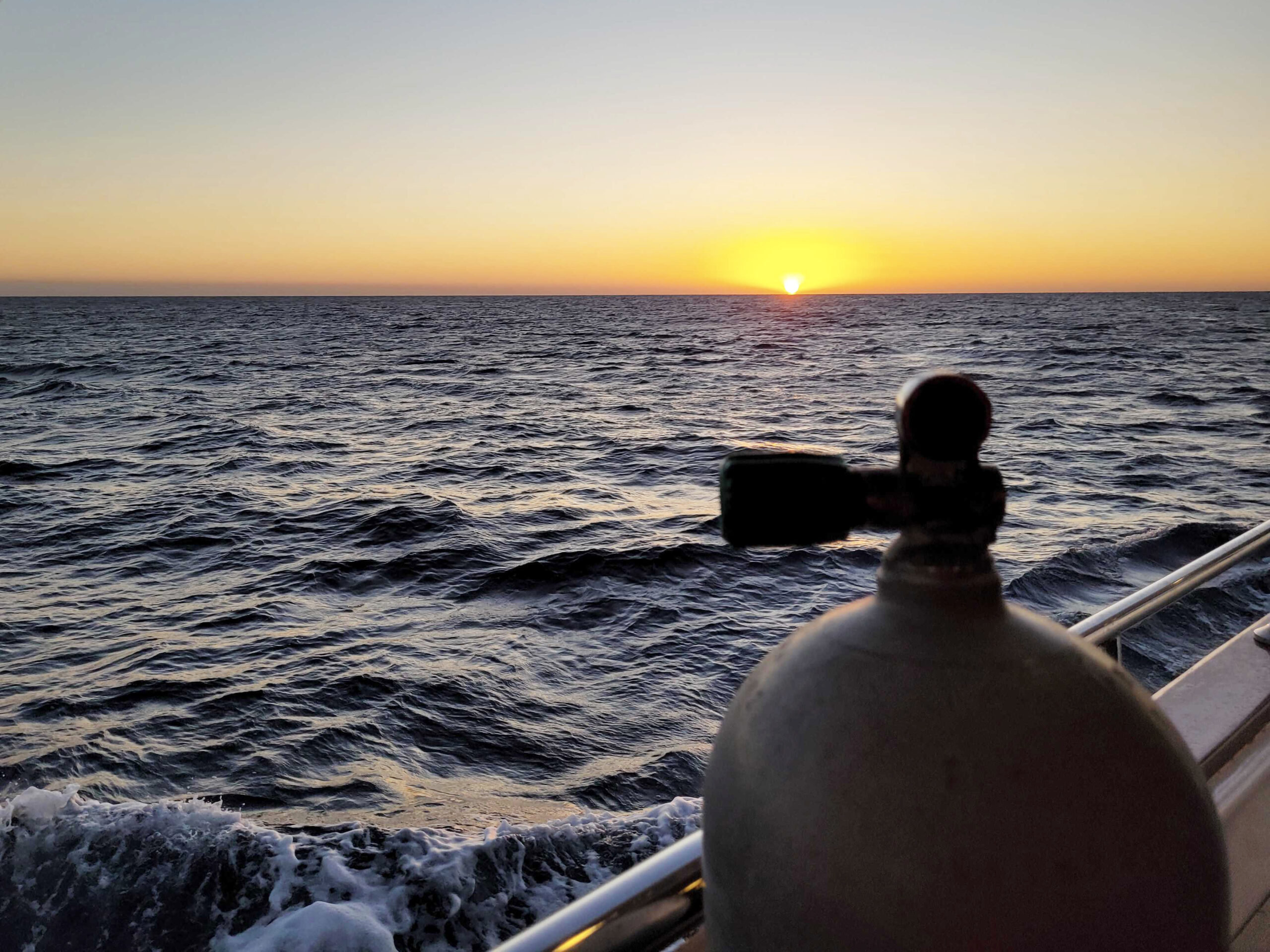 Vom Roten Meer kommt unser Wochenrückblick