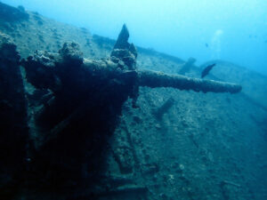 Ein weiterer Besuch bei der tollen Thistlegorm