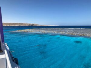 Spannende Tauchgänge im herrlich blauen Meer